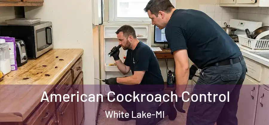  American Cockroach Control White Lake-MI