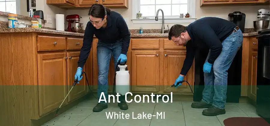 Ant Control White Lake-MI