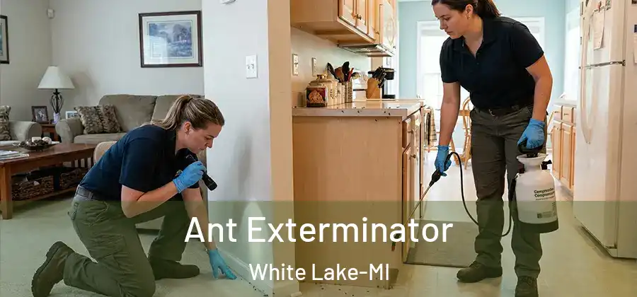 Ant Exterminator White Lake-MI