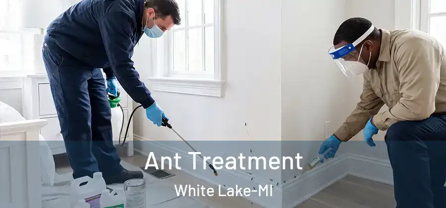 Ant Treatment White Lake-MI