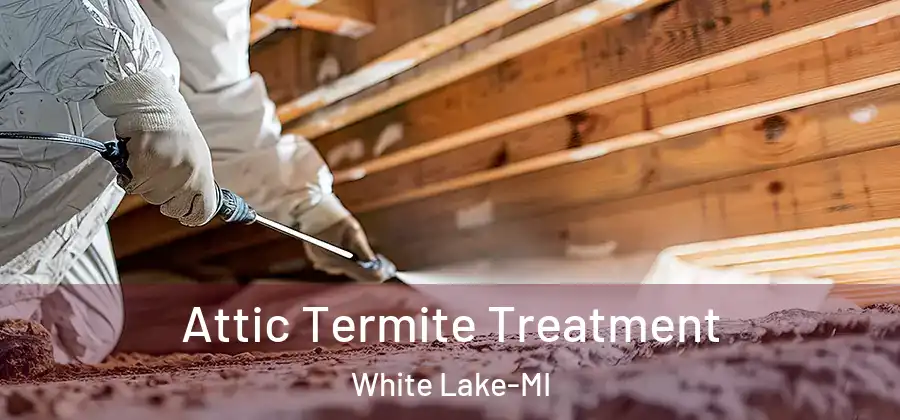 Attic Termite Treatment White Lake-MI