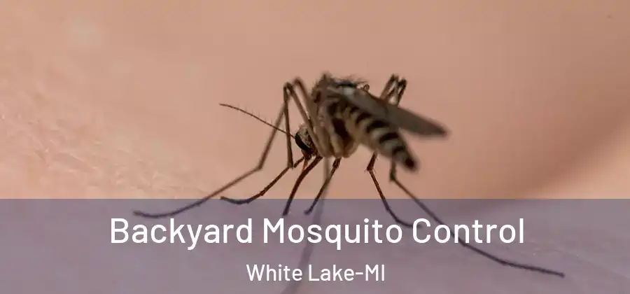  Backyard Mosquito Control White Lake-MI