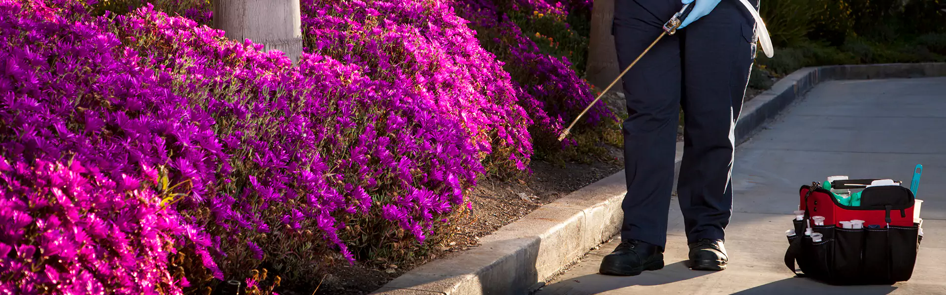 Termite Prevention Treatment