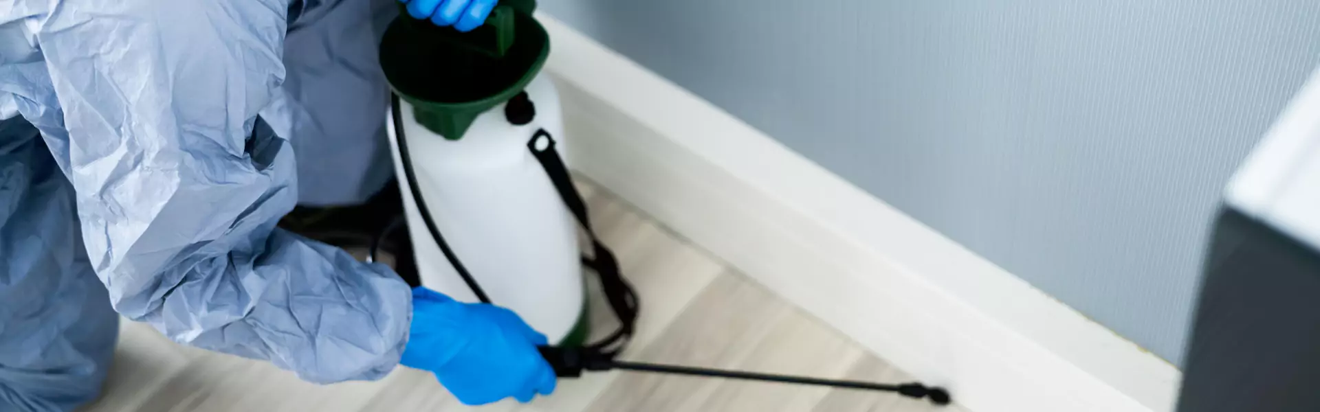 Termite Spot Treatment