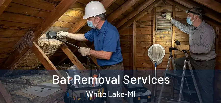  Bat Removal Services White Lake-MI