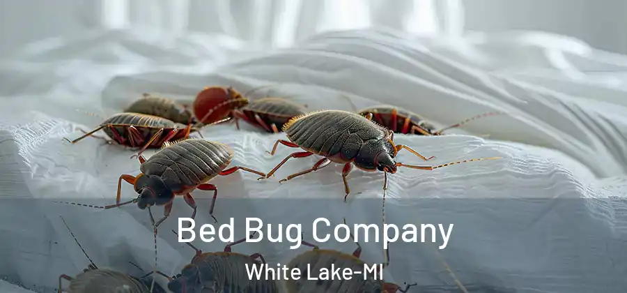 Bed Bug Company White Lake-MI