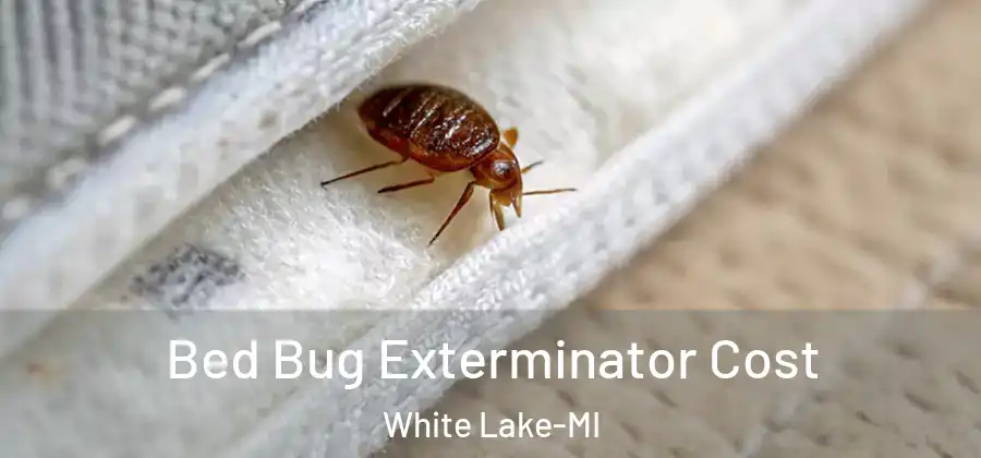  Bed Bug Exterminator Cost White Lake-MI