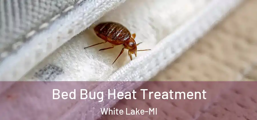 Bed Bug Heat Treatment White Lake-MI