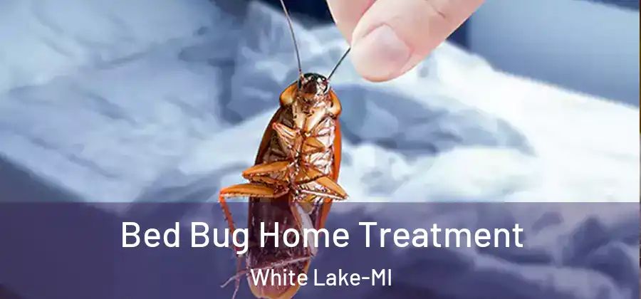 Bed Bug Home Treatment White Lake-MI