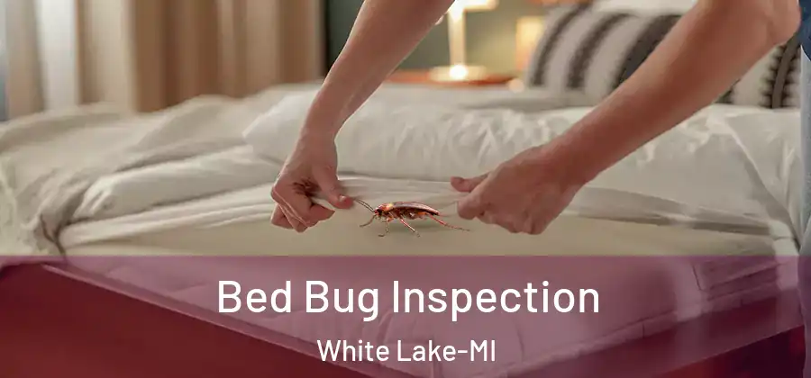 Bed Bug Inspection White Lake-MI