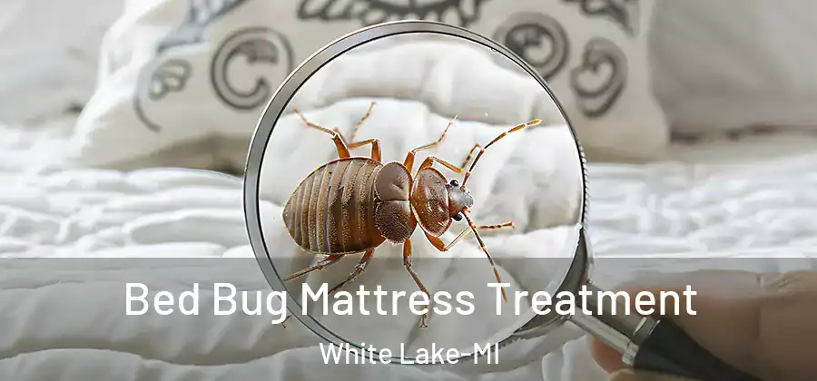 Bed Bug Mattress Treatment White Lake-MI