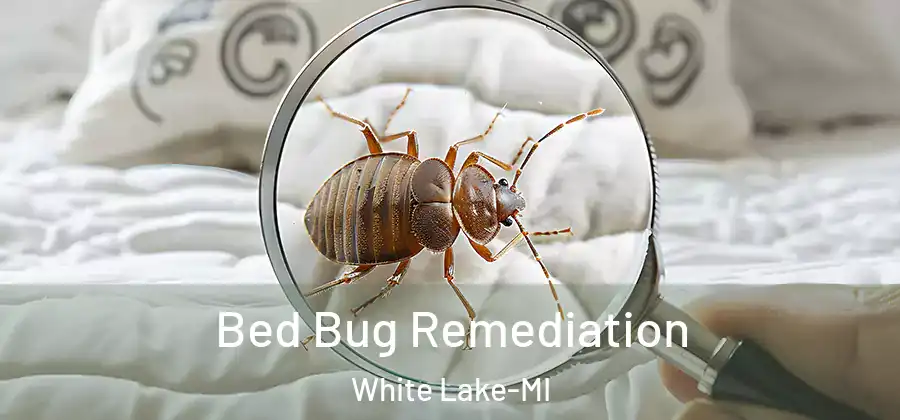  Bed Bug Remediation White Lake-MI