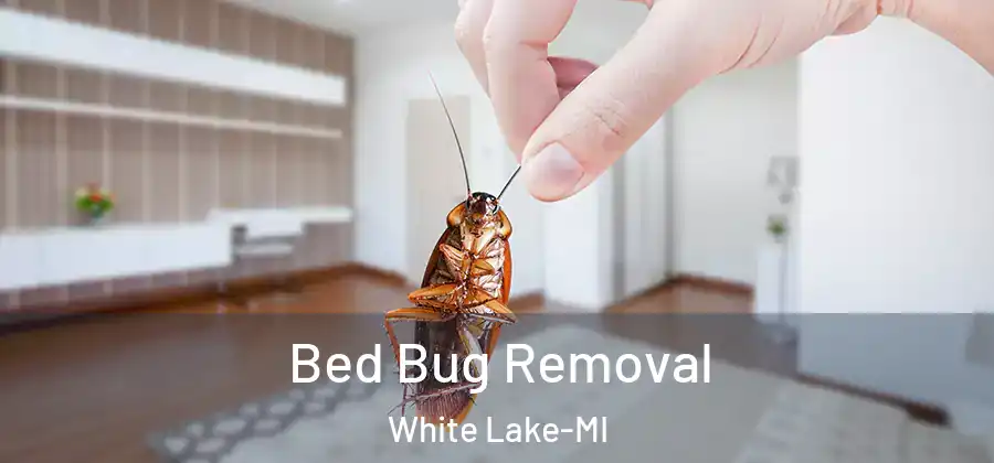Bed Bug Removal White Lake-MI
