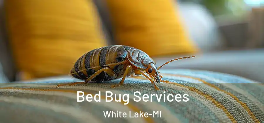 Bed Bug Services White Lake-MI