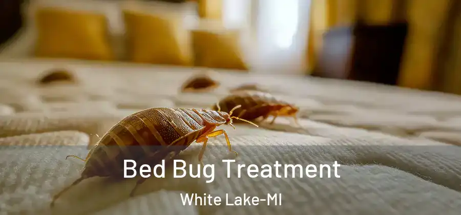  Bed Bug Treatment White Lake-MI