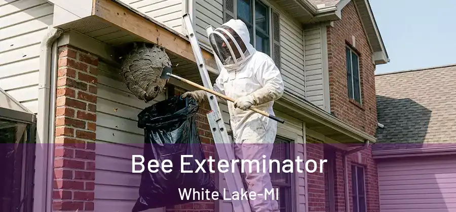 Bee Exterminator White Lake-MI
