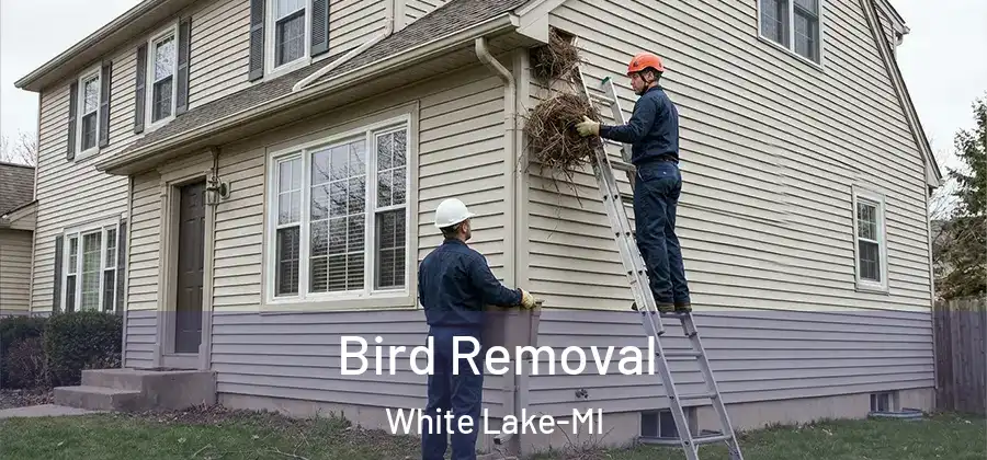  Bird Removal White Lake-MI