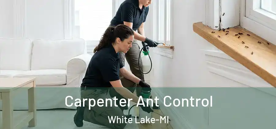 Carpenter Ant Control White Lake-MI