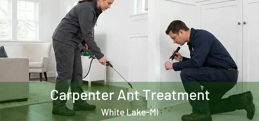 Carpenter Ant Treatment White Lake-MI