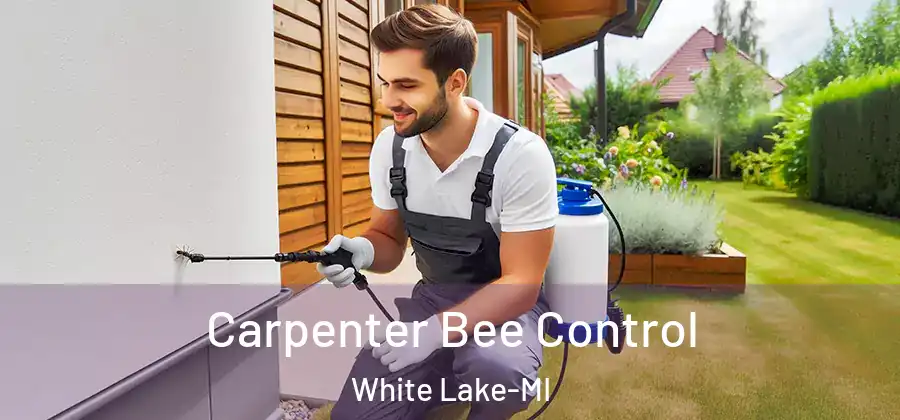 Carpenter Bee Control White Lake-MI