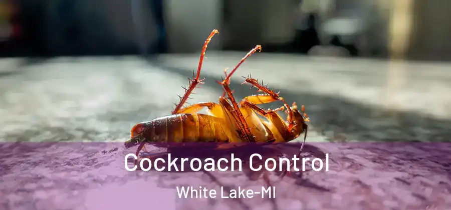 Cockroach Control White Lake-MI