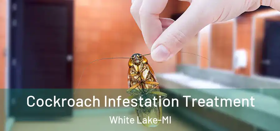 Cockroach Infestation Treatment White Lake-MI