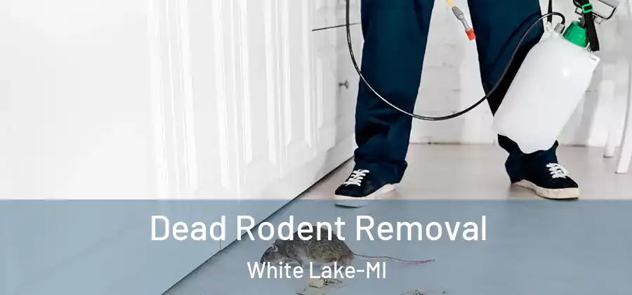 Dead Rodent Removal White Lake-MI