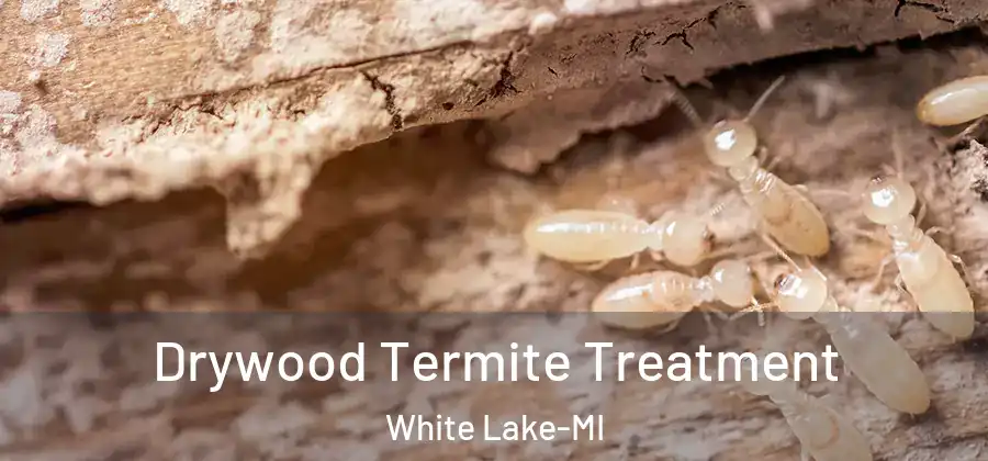 Drywood Termite Treatment White Lake-MI