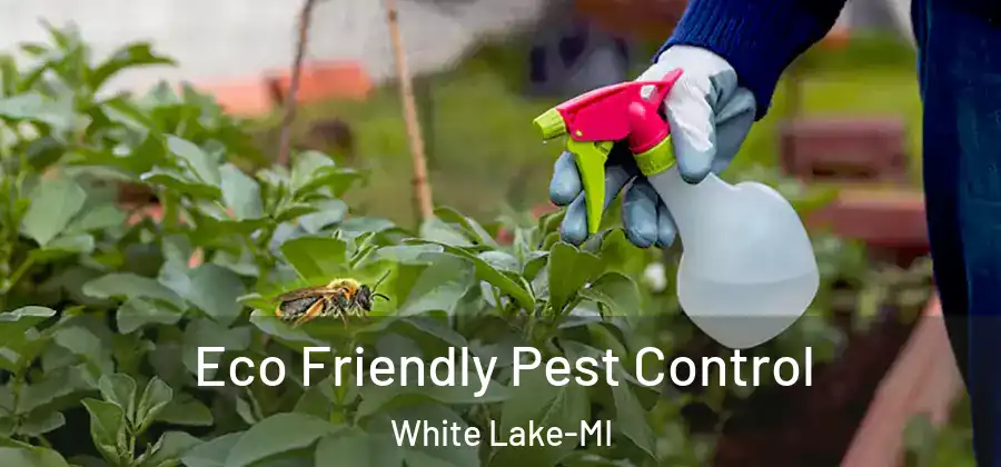 Eco Friendly Pest Control White Lake-MI