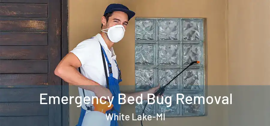 Emergency Bed Bug Removal White Lake-MI