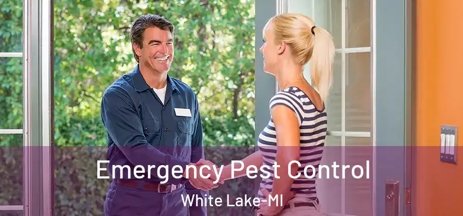 Emergency Pest Control White Lake-MI
