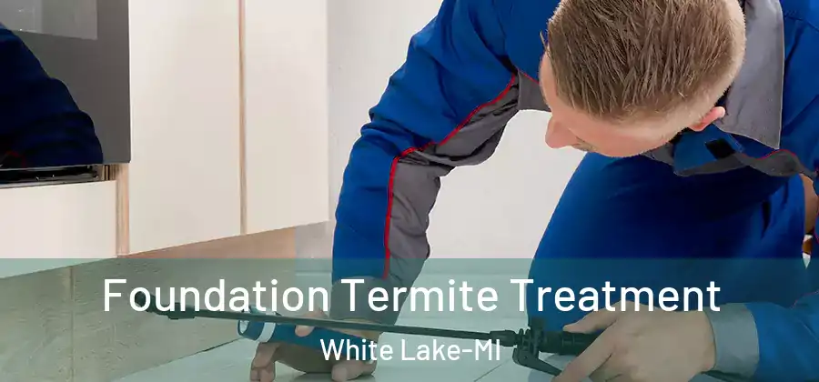 Foundation Termite Treatment White Lake-MI