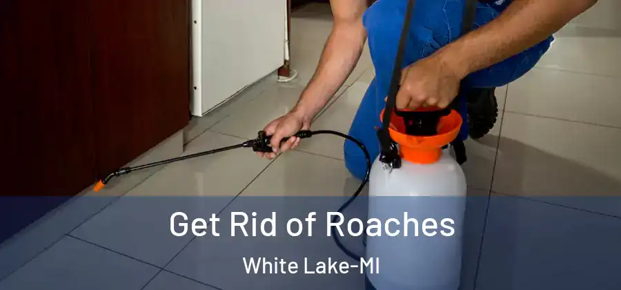 Get Rid of Roaches White Lake-MI