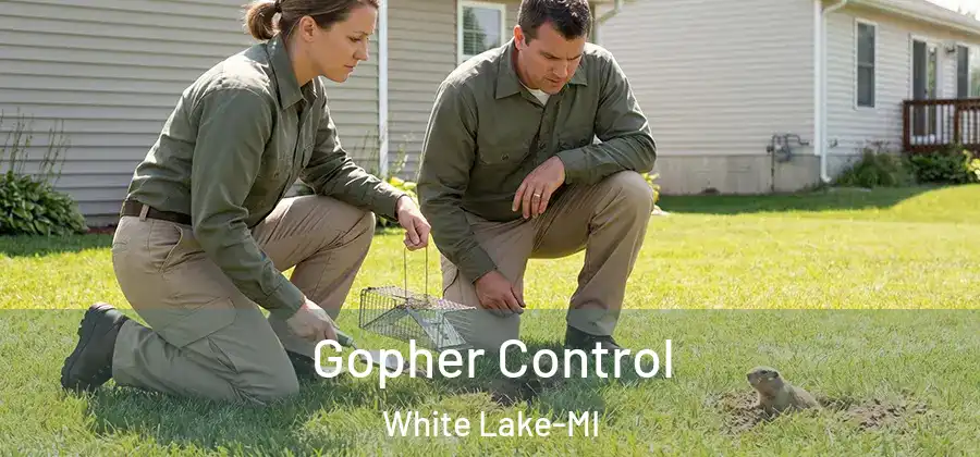 Gopher Control White Lake-MI