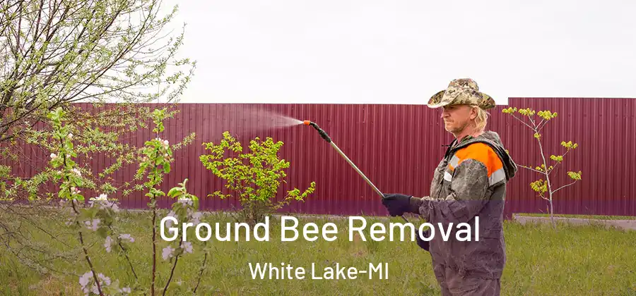 Ground Bee Removal White Lake-MI