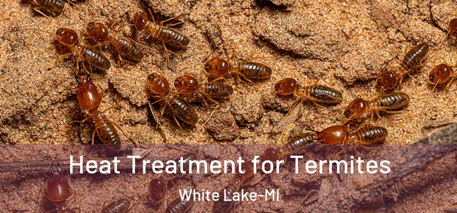 Heat Treatment for Termites White Lake-MI