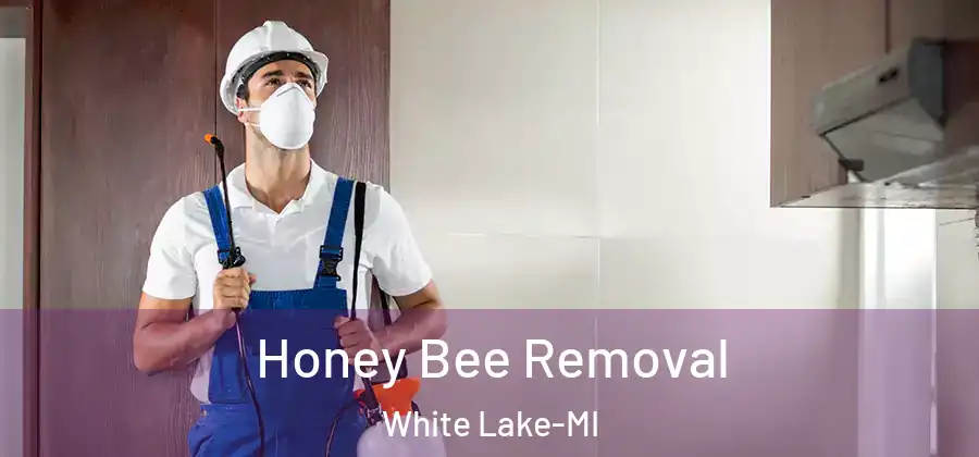 Honey Bee Removal White Lake-MI