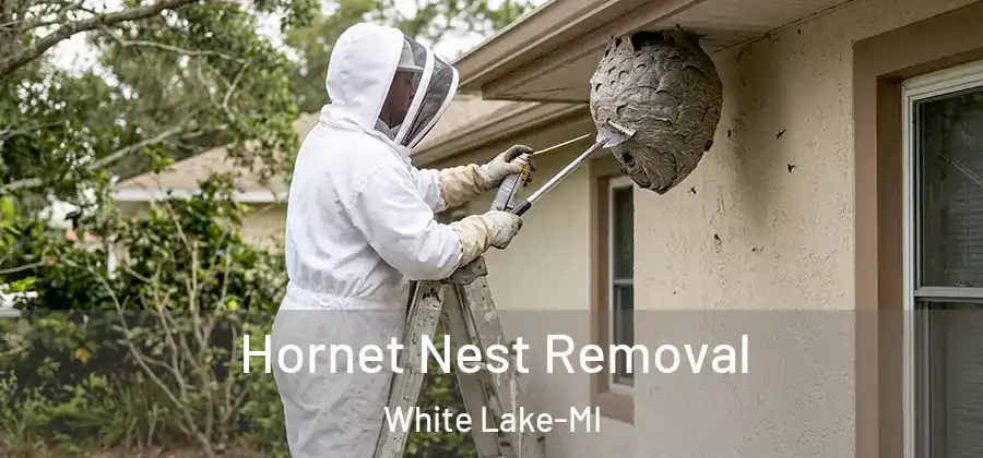 Hornet Nest Removal White Lake-MI