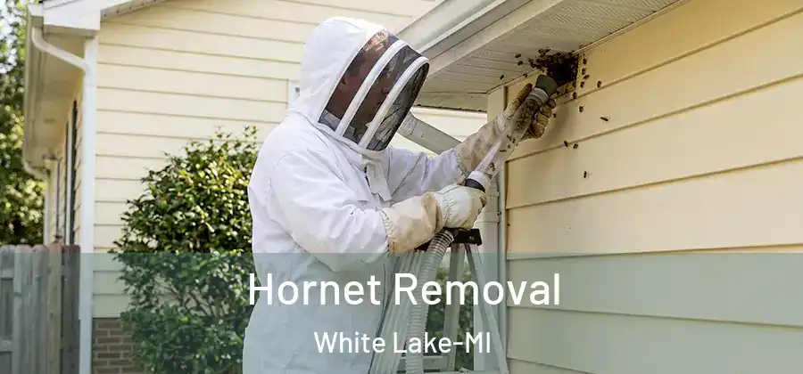 Hornet Removal White Lake-MI