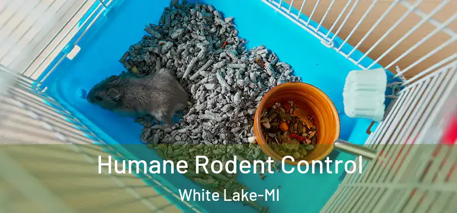  Humane Rodent Control White Lake-MI