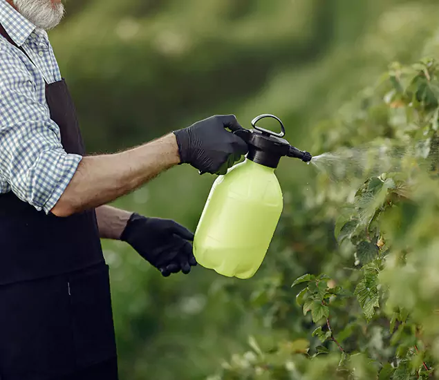 Your Proven Mosquito Treatment Company in White Lake, MI