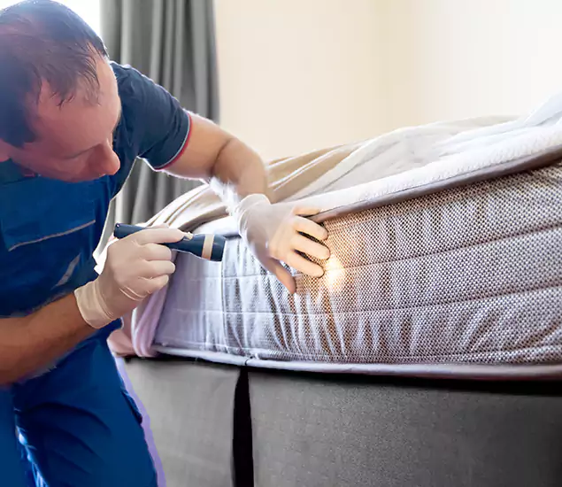 Trusted Bed Bug Cost Experts in White Lake, MI
