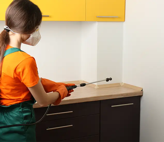 Trusted Bed Bug Pest Control Specialist in White Lake, MI