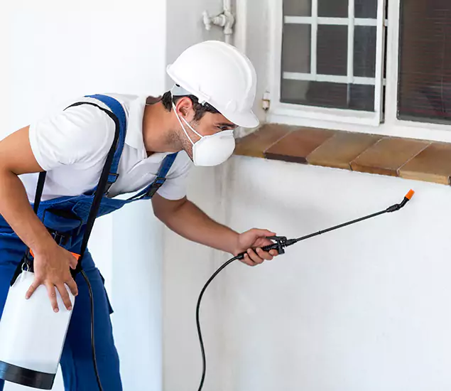 Your Professional Cockroach Exterminator in White Lake, MI