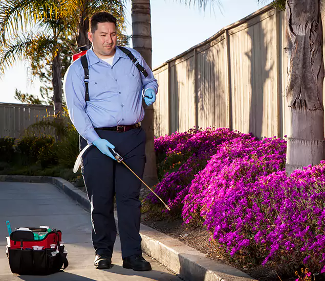 About Our Eco Safe Pest Control Experts in White Lake, MI