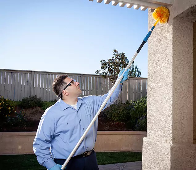 Trusted Experts in White Lake MI for Formosan Termite Treatment and Black Termite Control