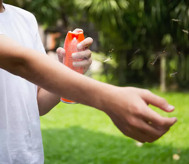 Your Best Indoor Bug Killer Team in White Lake, MI