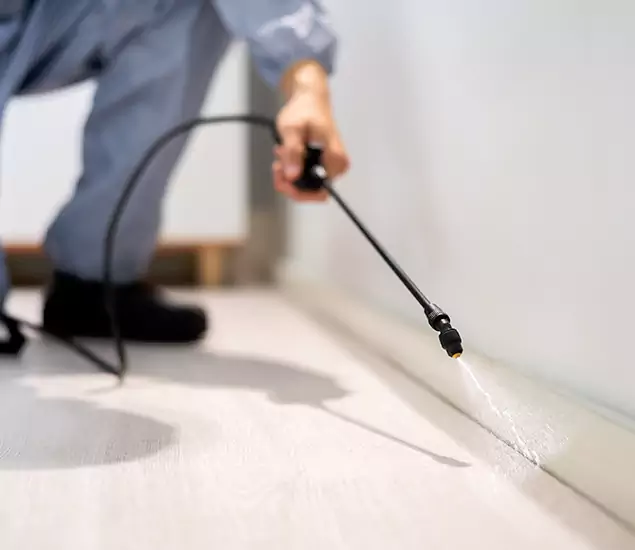 About Our Liquid Termite Treatment Experts in White Lake, MI