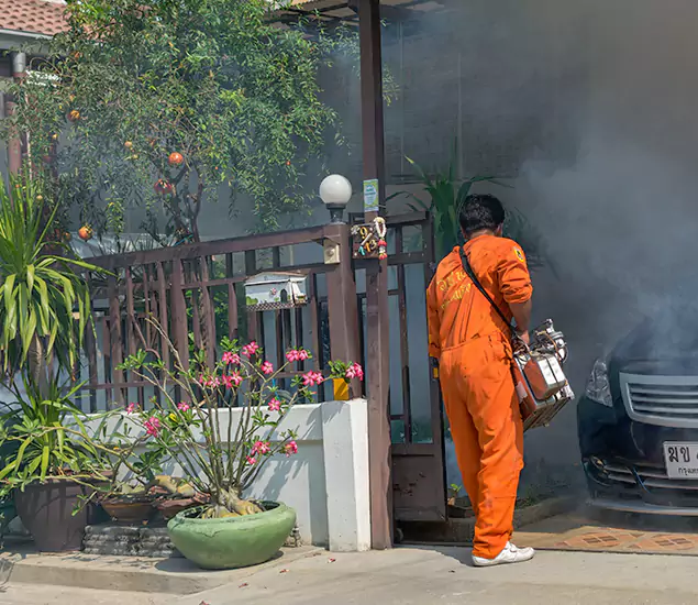 Your Proven Mosquito Fogging Company in White Lake, MI