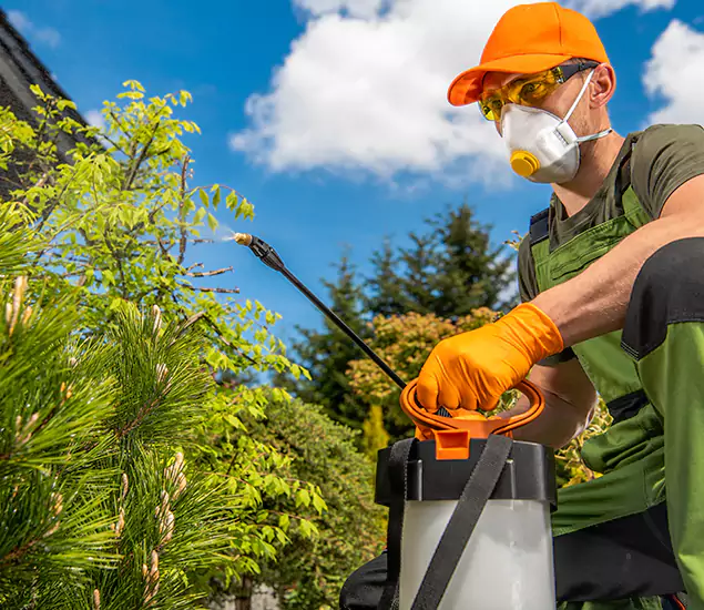 Your Best Bug Spray for Home Team in White Lake, MI